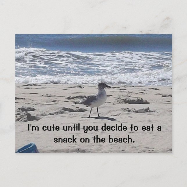 Sneaky Bird am Strand Postkarte (Vorderseite)