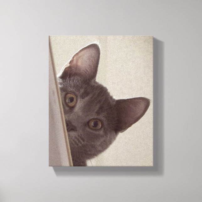 "Sneaky Cat" Print on Stretched Leinwand (Vorderseite)