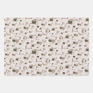 Sneaky Racoon Geschenkpapier Set