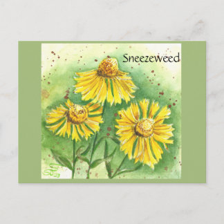 Sneezeweed Postkarte