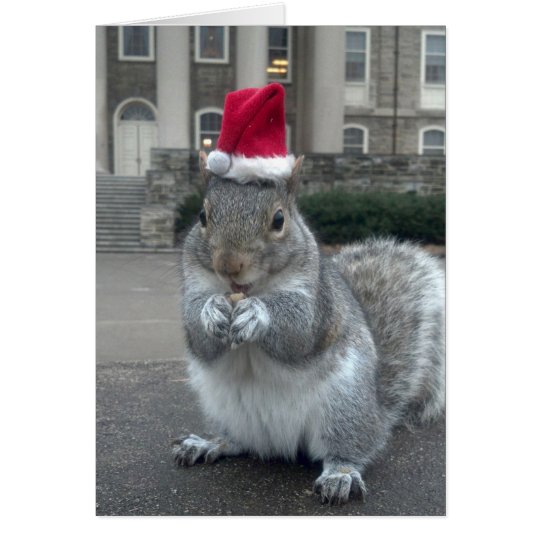 Sneezy die Eichhörnchen-Weihnachtskarte Karte