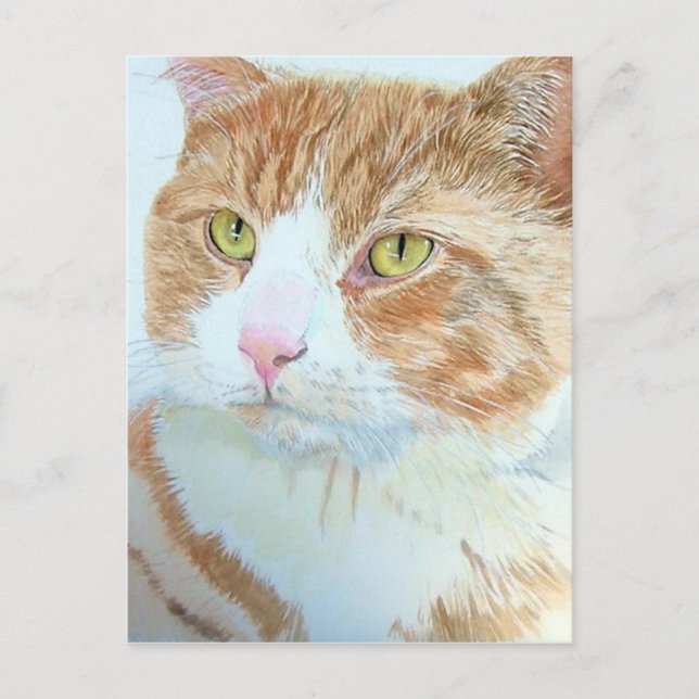 Snickers la carte postale de chat (Devant)