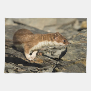 Sniffing Weasel Geschirrtuch