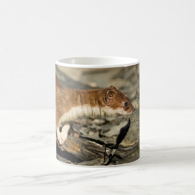 Sniffing Weasel Kaffeetasse (Mittel)