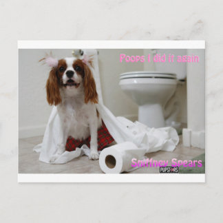 Snifney Spears Postcard Postkarte