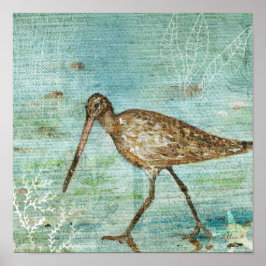 Snipe Coastal Shorebird Beach Art Print Poster