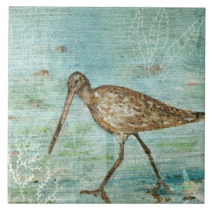 Snipe Shorebird Beach Coastal Dekoration Fliese
