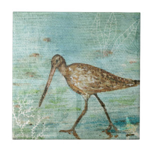 Snipe Shorebird Coastal Beach House Deco Fliese