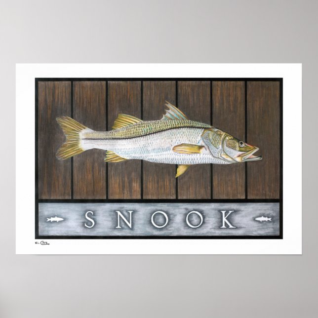 Snook Poster, Prints und Rahmen Poster (Vorne)