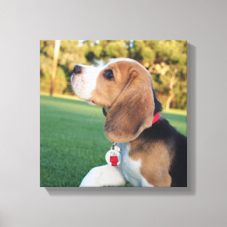 Snoopy Beagle Leinwand