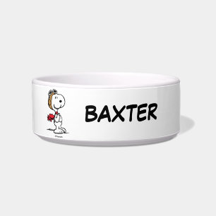 Snoopy Das fliegende Ass Name des Begleiters hin Napf