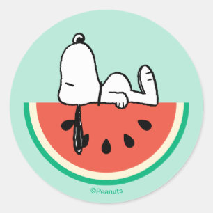 Snoopy Wassermelonen Träume Runder Aufkleber