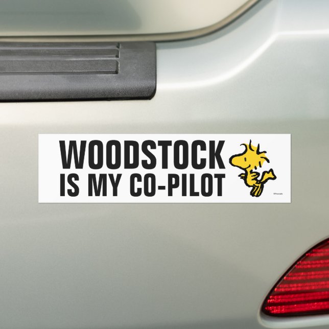 Snoopy & Woodstock Spaß & Blume Autoaufkleber (Auf Auto)