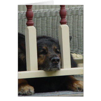 Snooze de l'après-midi