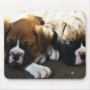 Snoozing Boxerpuppen Mousepad