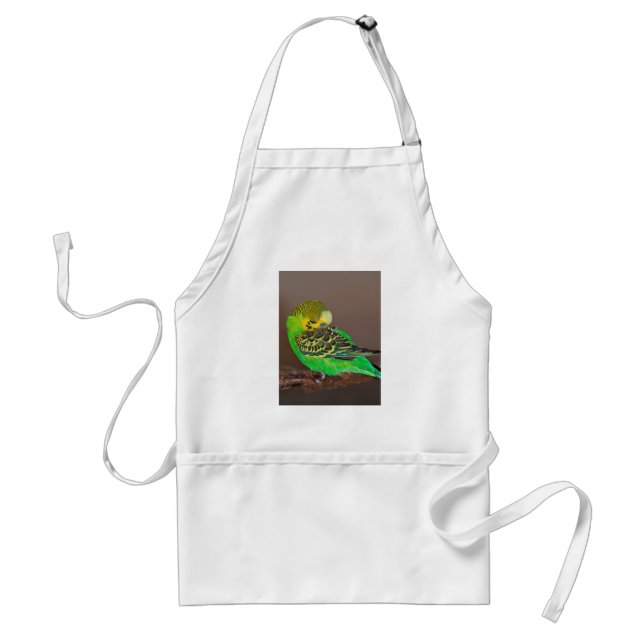 Snoozing Budgie Apron Schürze (Vorne)