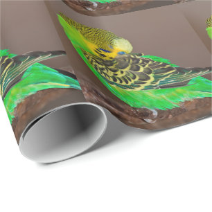Snoozing Budgie Packpapier