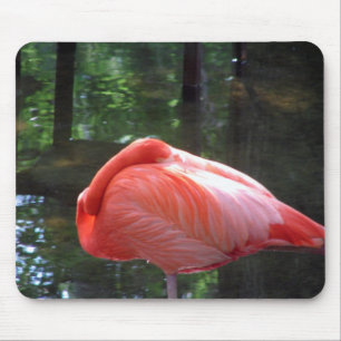 Snoozing Flamingo Mousepad