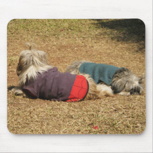 Snoozing in Nong Khai Mousepad