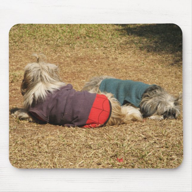 Snoozing in Nong Khai Mousepad (Vorne)