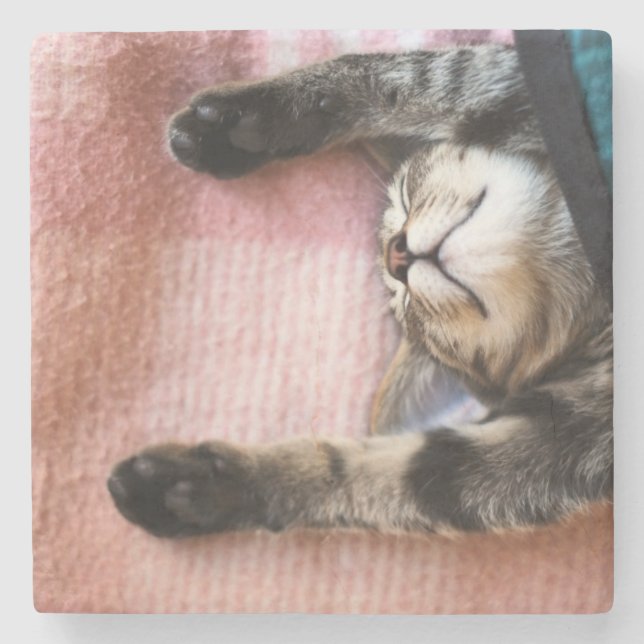 Snoozing Kätzchen Steinuntersetzer (Vorderseite)