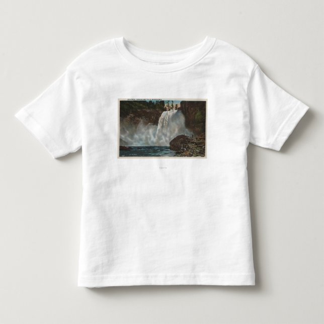Snoqualmie fällt, WA - Ansicht von Fällen unten Kleinkind T-shirt (Vorderseite)