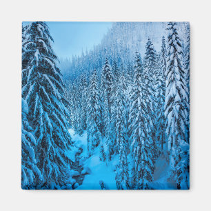 Snoqualmie Pass, Bundesstaat Washington. Magnet