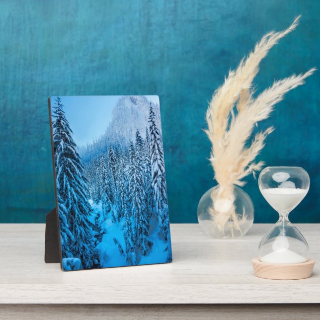 Snoqualmie Pass, Washington Staat. Fotoplatte (Seite)