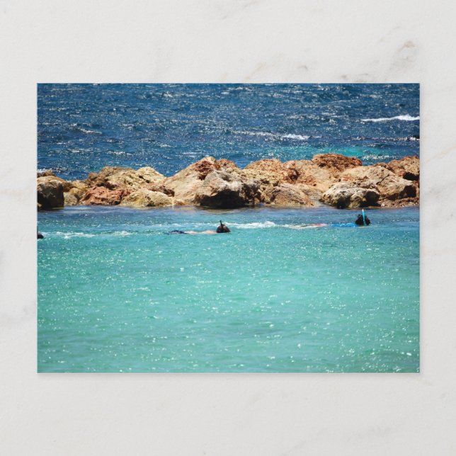 snorkeling dans la carte postale caribéenne (Devant)