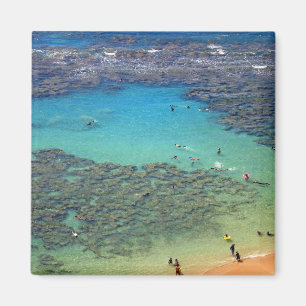 Snorklers an Hanauma Bucht, Oahu, Hawaii Magnet