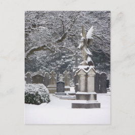 Snow Angel Postkarte