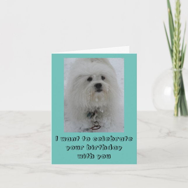 Snow Angels Coton Funny Birthday Card Karte (Vorderseite)
