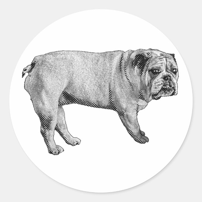 Snow-Bright Bulldog Aufkleber (Vorderseite)