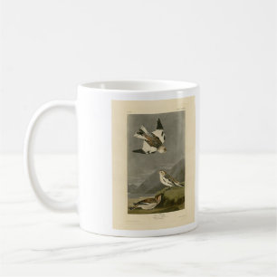 Snow Bunting John James Audubons Vögel in Amerika Kaffeetasse