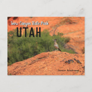 Snow Canyon Roadrunner Utah Postkarte
