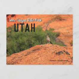 Snow Canyon Roadrunner Utah Postkarte