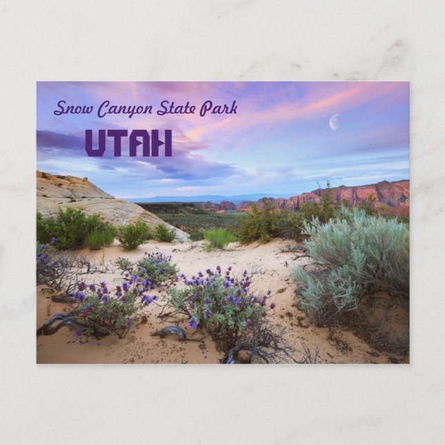 Snow Canyon Staat Park Utah Postkarte (Vorderseite)