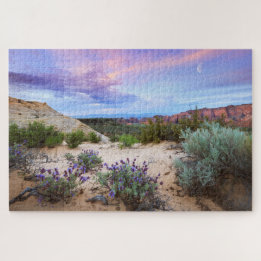 Snow Canyon Sunrise Wildblumen Landscape Foto