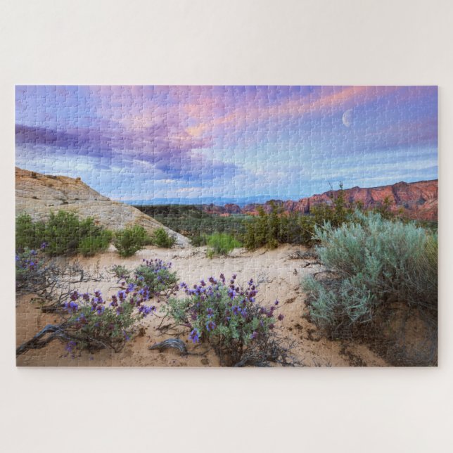 Snow Canyon Sunrise Wildblumen Landscape Foto (Horizontal)