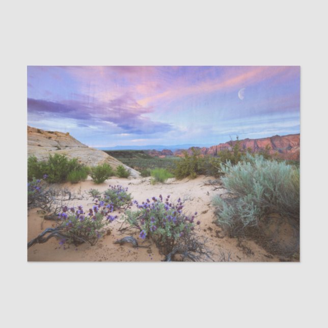 Snow-Canyon-Wildblume in Utah Seidenpapier (Vorderseite)