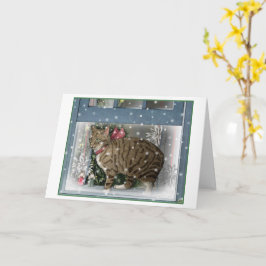 Snow Cat Weihnachtskarte Karte