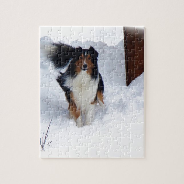 Snow Collie (Vertikal)