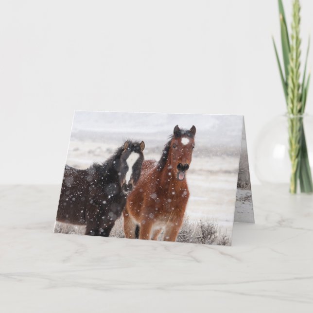 Snow Colts Greeting Card Einladung (Vorderseite)
