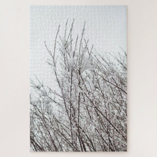 Snow-covered Abstracts-Fotoast-Schwierigkeit