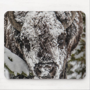 Snow Covered Bison Grand Teton Mousepad