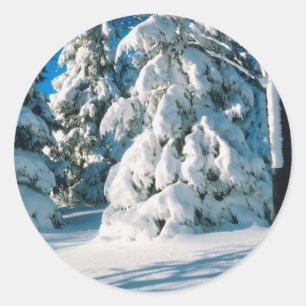 Snow Covered Evergreens Runder Aufkleber