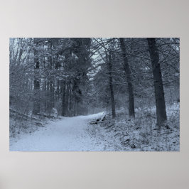 Snow Covered Hiking Trail 1 Poster