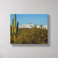 Snow Covered Mountains Saguaro Cactus Arizona USA