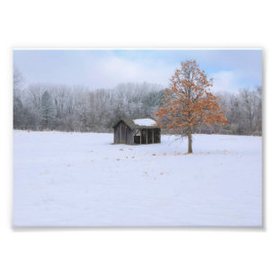 Snow Covered Paddock Fotodruck