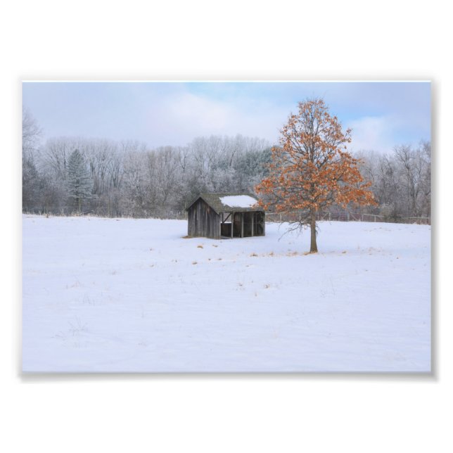 Snow Covered Paddock Fotodruck (Vorne)